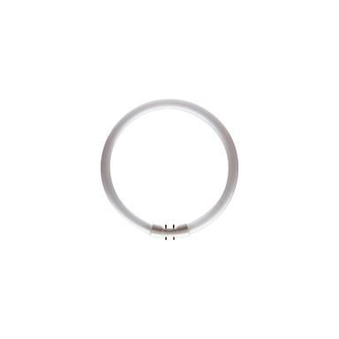 Philips MASTER TL5 CIRCULAR Lysrør 2GX13