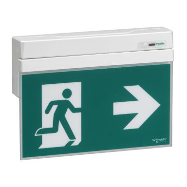 Schneider Electric OVA48404 Nödljusarmatur med piktogramset