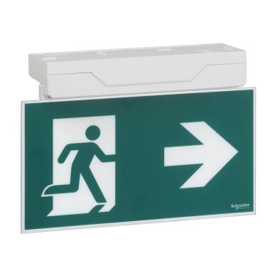 Schneider Electric OVA48406 Nödljusarmatur med piktogramset