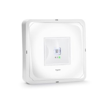 Schneider Electric Exiway Smartbeam Activa Nödljusarmatur 3 h, ytmonterad