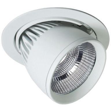 Easyform R-Flex Downlight 30W, vit