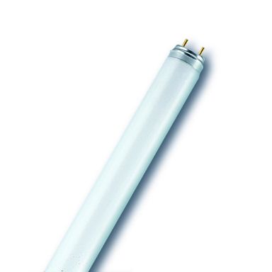 Radium T8 Lysrör G13