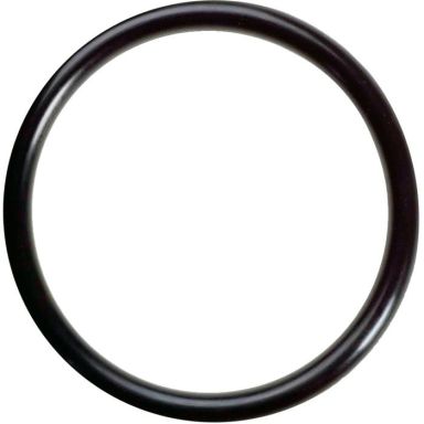 Testo 36607015 O-Ring 20-pack