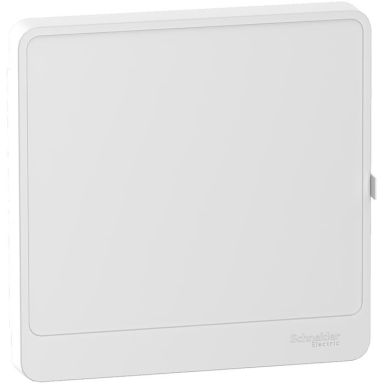 Schneider Electric R9H13421 Ovi Resi9-vakiokoteloon, valkoinen