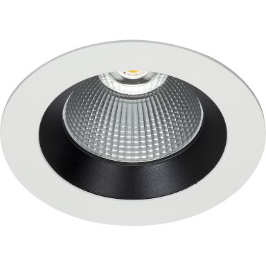 Easyform Silver Downlight standard