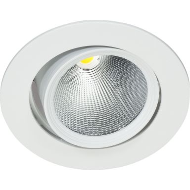 Easyform Pride Downlight ställbar, 360°/ 20°