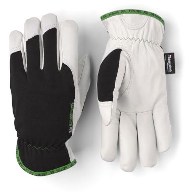 Hestra Job Job Kobolt Winter Hanske
