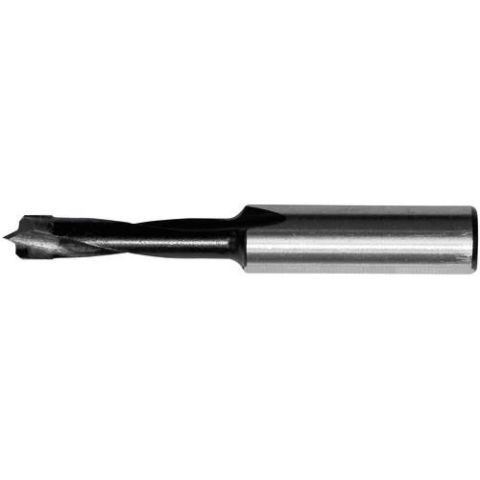 1120796 Festool HW D 5 F.BTA Borrbits