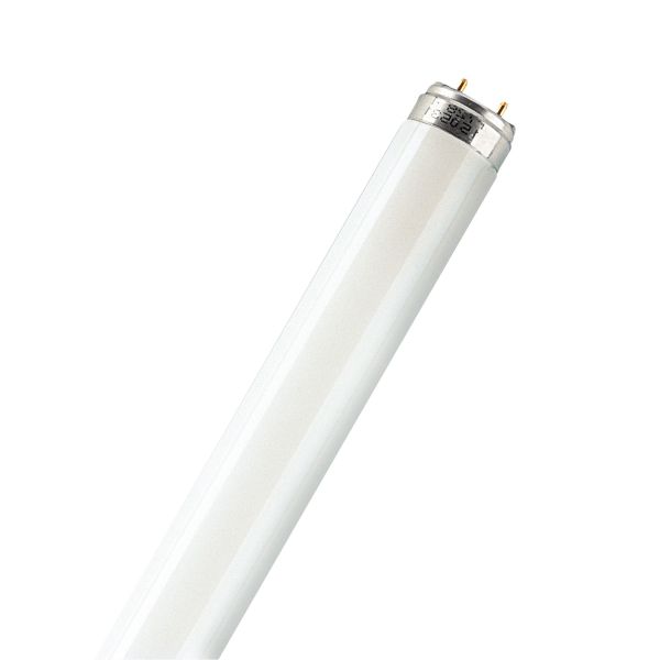 Lysrör Osram Lumilux Plus ECO T8 G13-sockel 36 W, 3350 lm