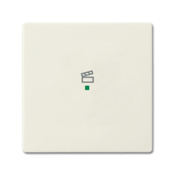 Yksiosainen vipupainike ABB Future Linear 6220-0-0587 tilanneohjaus Chalet-white