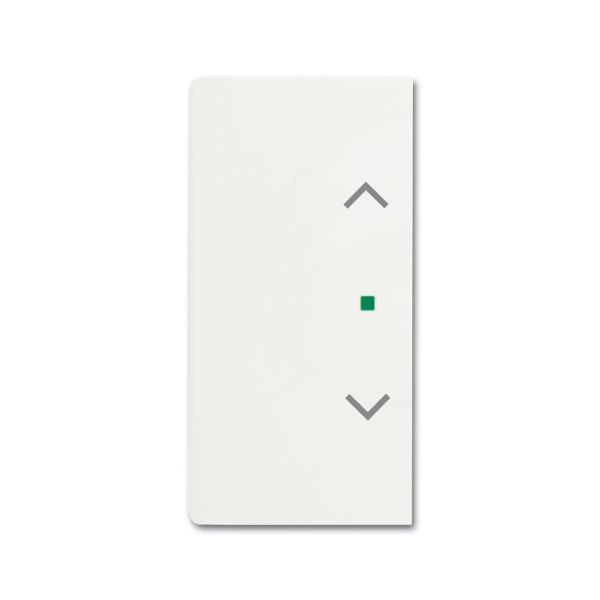 Yksiosainen vipupainike ABB Future Linear 6220-0-0608 verhot, oikea/vasen valkoinen