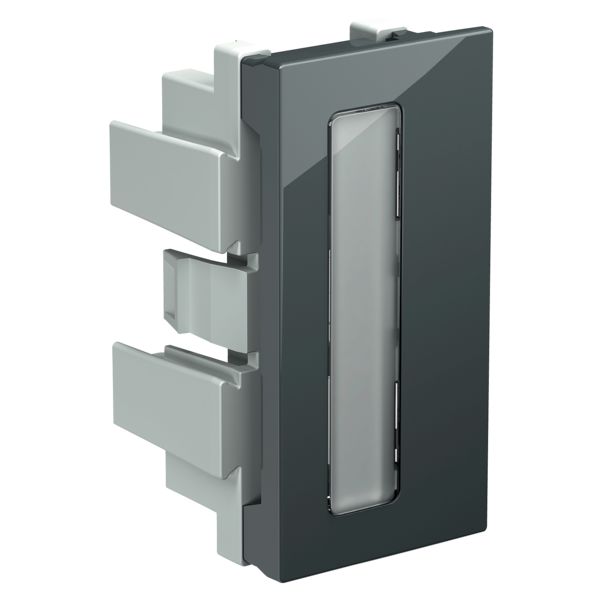 Merkevindu Schneider Electric INS60002 hvit, med typeskilt Grå