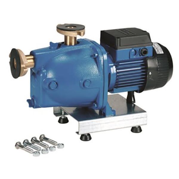 Jetpump Beulco PTVRA självsugande