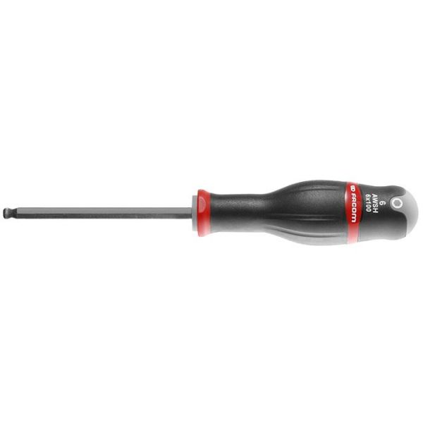Insexmejsel Facom ATWSH5X100 30 mm